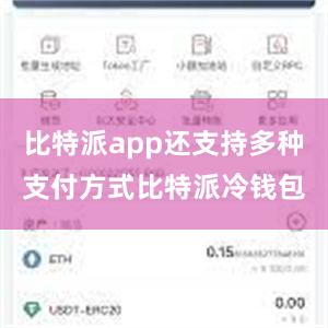 比特派app还支持多种支付方式比特派冷钱包